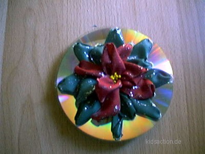 Weihnachtssternbl&uuml;te